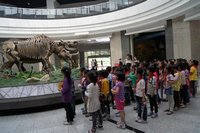 楊凌昆蟲博物館