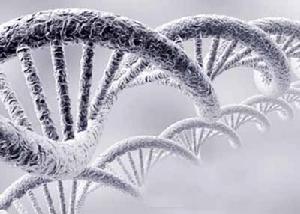 全基因組測序 全基因組測序