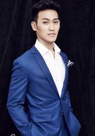 以愛為名[2017年王毓雅執導范逸臣主演的電影]