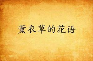 薰衣草的花語 薰衣草的花語