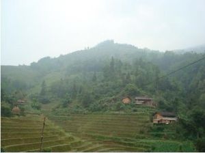 松毛自然村 松毛自然村