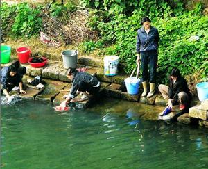 曾經的清澈見底的江水