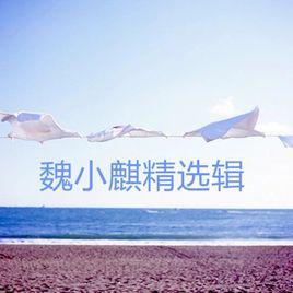 玩笑[魏小麒演唱歌曲]