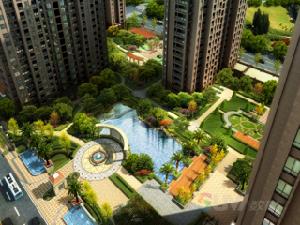 中大雲錦 中大雲錦