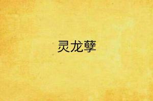 靈龍孽
