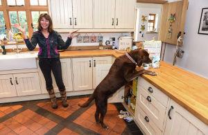 防犬廚房 防犬廚房