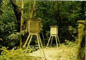 氣象觀測場 氣象觀測場