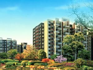 朴園和院 朴園和院