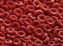 紅細胞壓積偏高 紅細胞壓積偏高