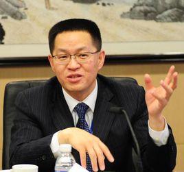 肖學文[中國冶金科工集團公司副總裁]