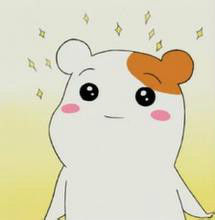 倉鼠管家 倉鼠管家