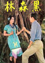 代表作之一《黑森林》