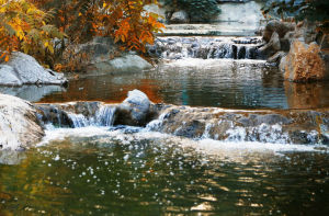 泉山森林公園景色