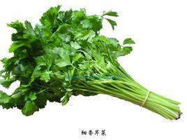 細香芹菜 細香芹菜