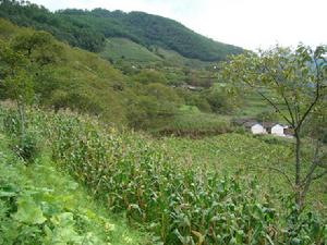 備務自然村 備務自然村