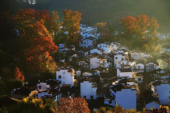 醉了!華東這個賞楓仙境讓人苦等半年,只為一睹絕美秋色!