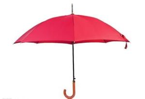 傘式基金 傘式基金