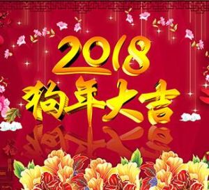 2018年中央電視台春節聯歡晚會 2018年中央電視台春節聯歡晚會