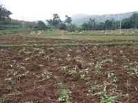 過馬水自然村 過馬水自然村