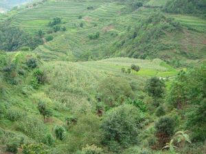 依堵地村 依堵地村