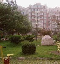 高莊小區 高莊小區