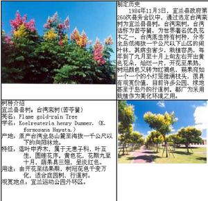 宜蘭縣縣樹：台灣欒樹