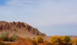 踏實秋容 踏實秋容