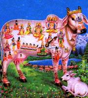 （圖）黑天與神牛