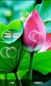 壁紙動態荷花 壁紙動態荷花