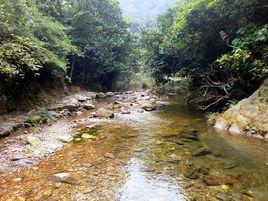 肇慶紫雲谷 肇慶紫雲谷