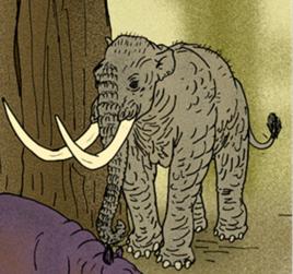 歐洲矮象 歐洲矮象