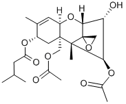 T-2毒素