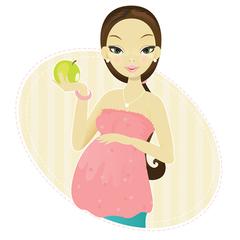 準媽媽日曆 準媽媽日曆