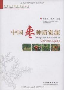 中國棗種質資源 中國棗種質資源