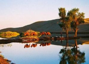 羅布泊，消逝的仙湖