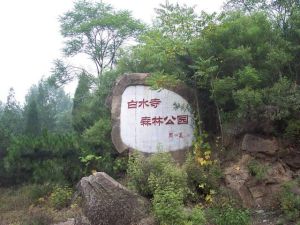 白水寺森林公園