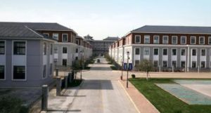 鑫茂科技 鑫茂科技