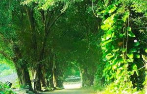 松田崗休閒農場