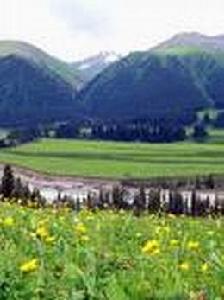 利沃夫克索沃國家森林公園 利沃夫克索沃國家森林公園