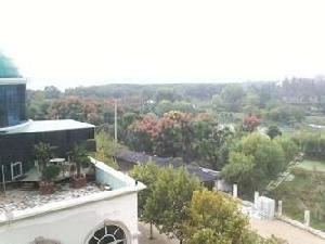 桃花島城市花園 桃花島城市花園