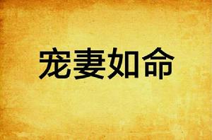 寵妻如命 寵妻如命