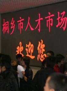 桐鄉招聘網 桐鄉招聘網