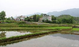 岩山鄉[福建龍巖市新羅區岩山鄉]