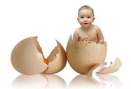 寶寶骨骼發育 寶寶骨骼發育