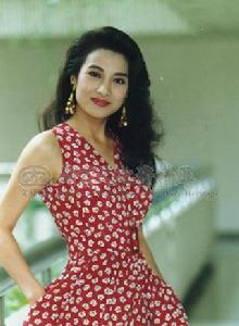 佳人有約[1989年台灣電視連續劇]