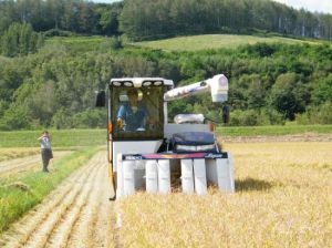可變施肥法 可變施肥法