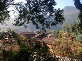 水頭秧草村 水頭秧草村