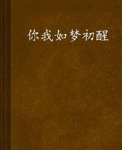 你我如夢初醒 你我如夢初醒