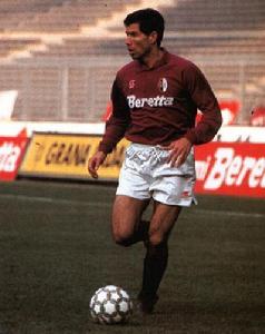 文森佐·希福 文森佐·希福