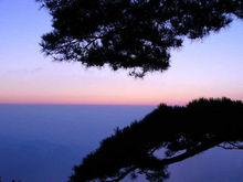 西海岸各類照片